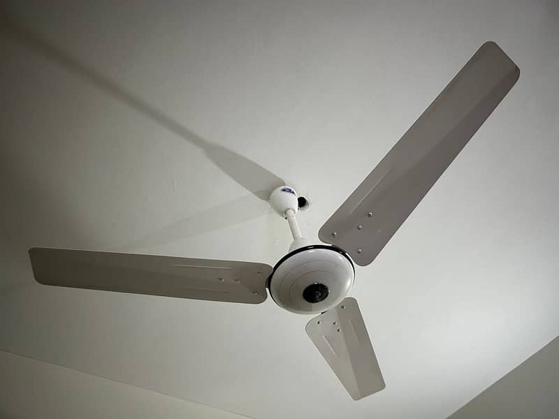 Pak ceiling Fan like new 1