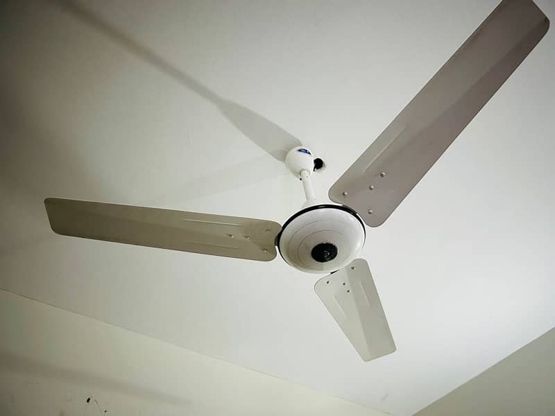 Pak ceiling Fan like new 2