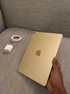 iPad Pro 2017 in 10/10 Condition