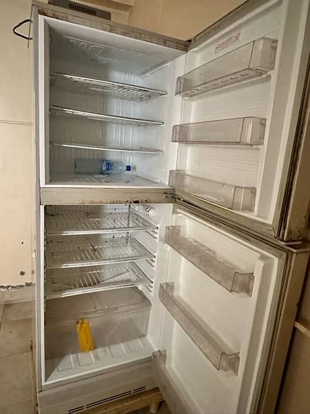 PEL Arctic Refrigerator 3
