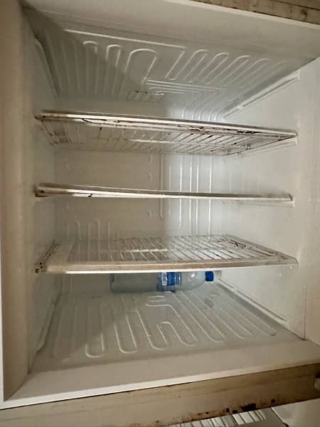PEL Arctic Refrigerator 4