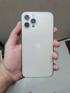 iPhone 12 Pro Max PTA Approved in Mint condition
