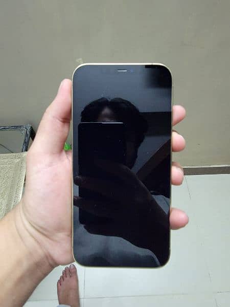 iPhone 12 Pro Max PTA Approved in Mint condition 1