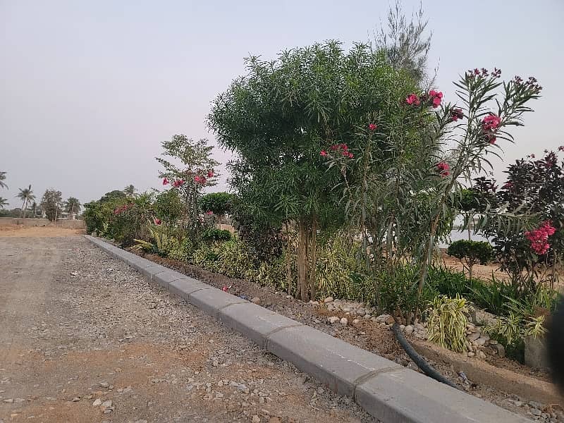 Aesthetic Prime Location Residential Plot Of 120 Square Yards For Sale Is Available 7
