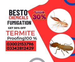 Pest control services & Termite Treatment Fumigation all types insects