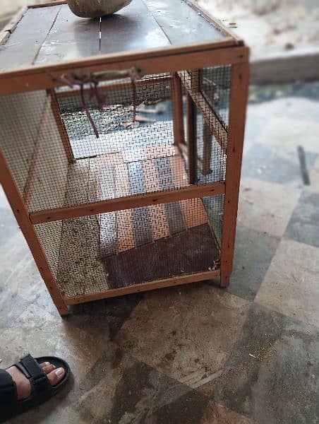 parrot/hen cage slightly used 2