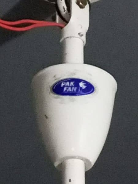 Ceiling Fans Used Condition 5