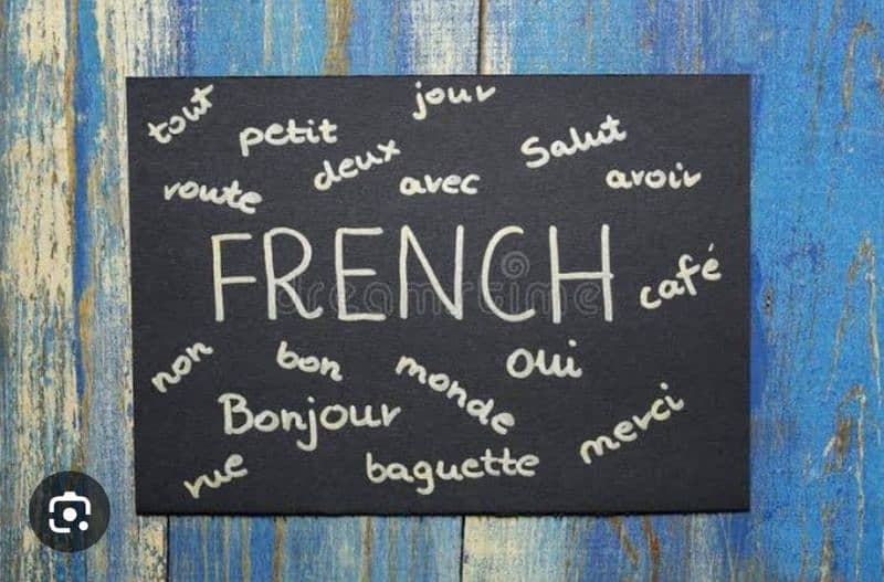 Learn French Speak French Teach French 0