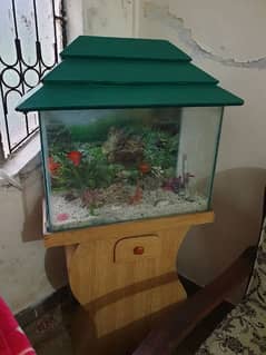 Fish Aquarium with stand