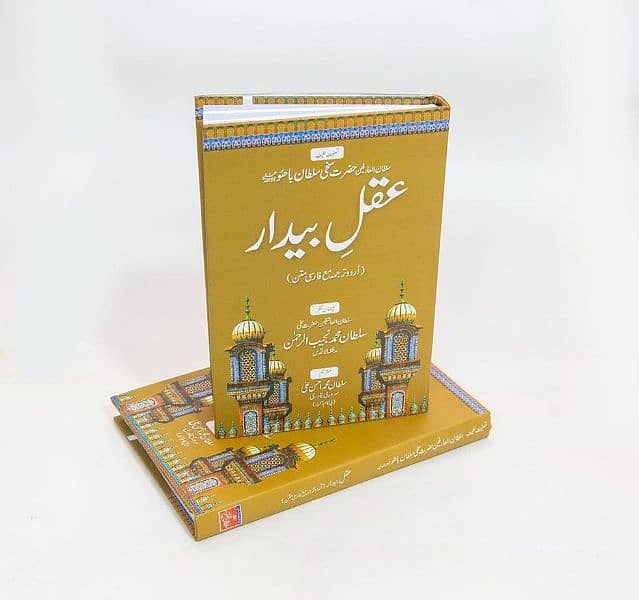 Amazing Novels magazine and book in Urdu and English 11