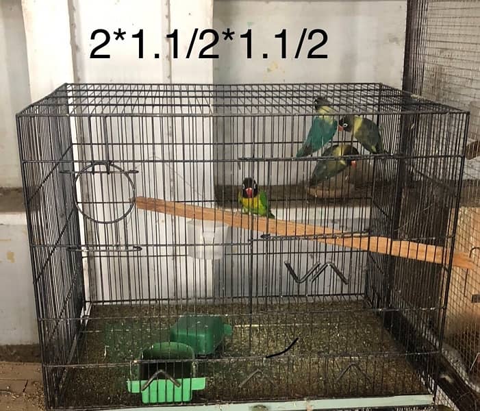parrot  cage 1