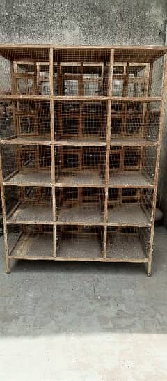 Birds Wooden Cage 5x3
