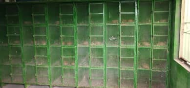 Pigeons Breeding cages
