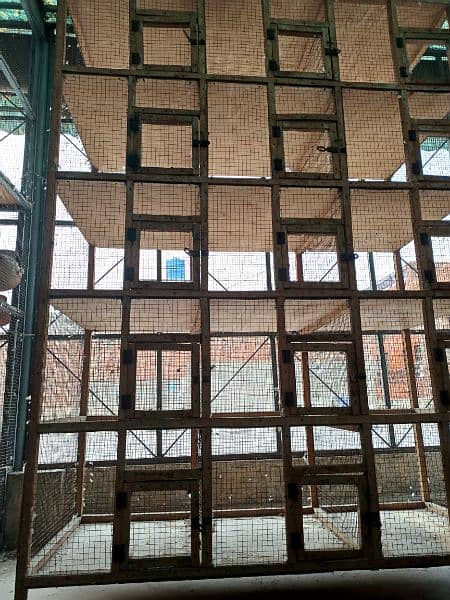 Wooden Cage Pingra 7x4.5 feet for dove, finch, java etc 1