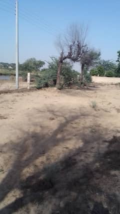 Commercial Land near Bahwalnagar | Adda Gajani