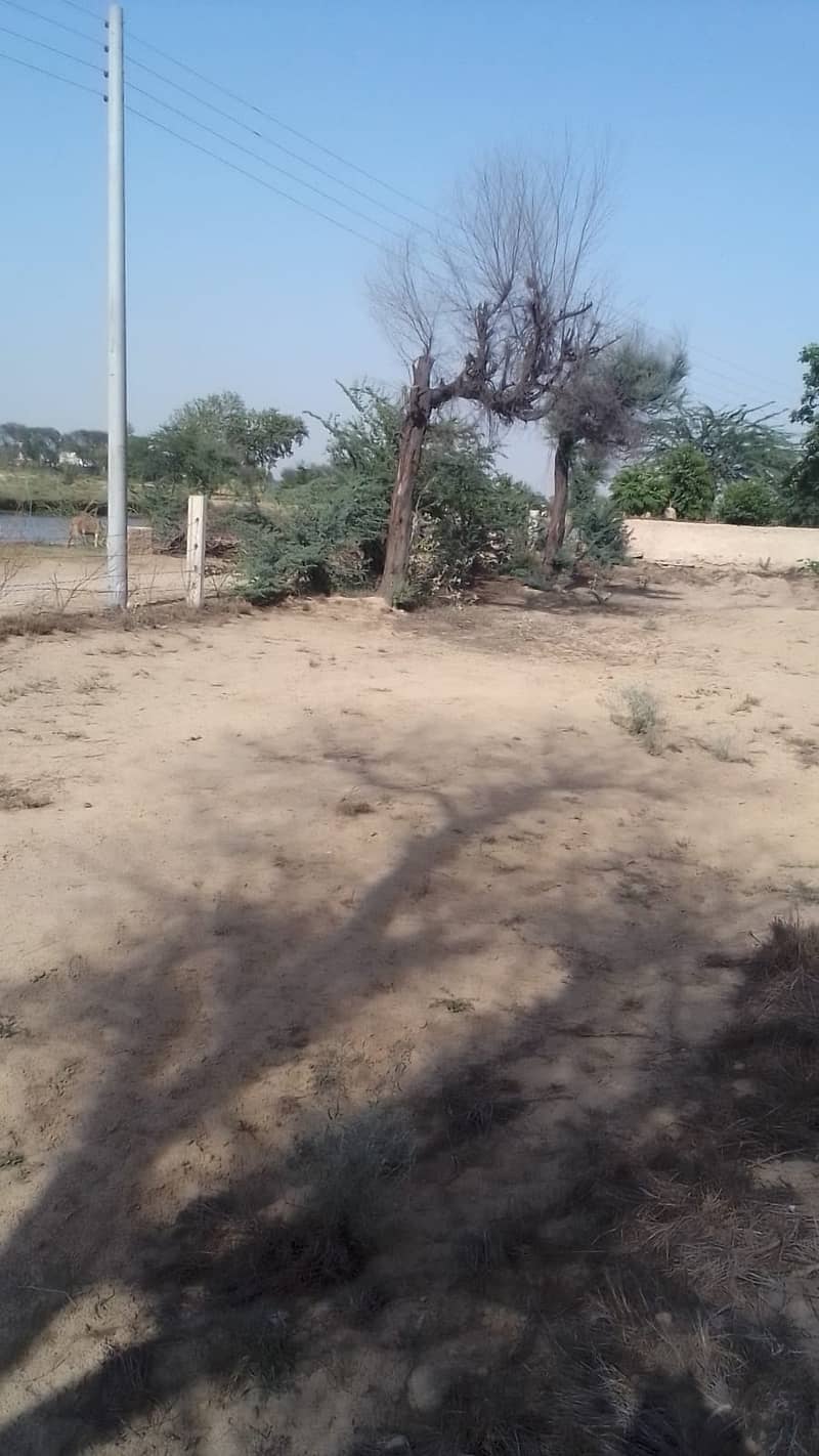 Commercial Land near Bahwalnagar | Adda Gajani 0