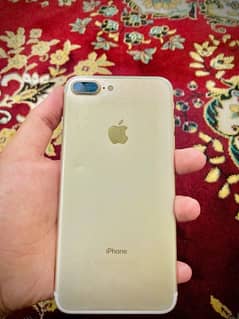 7plus PTA APPROVED