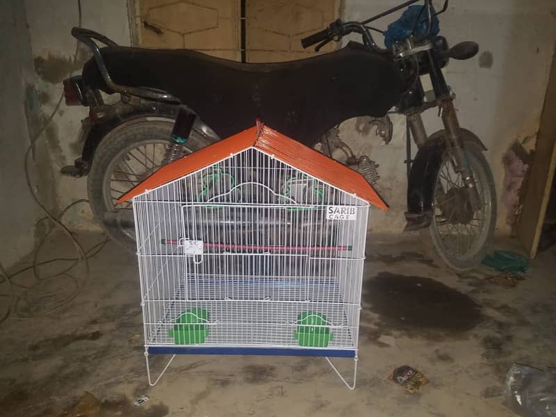 0346-1400171 Cage Pinjra Parrot Bajri Australian Tota Pahari Raw Green 9