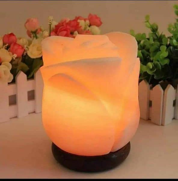 Natural Lamp, Table Lamp || Fancy Lamps || Decorations Lamps 6