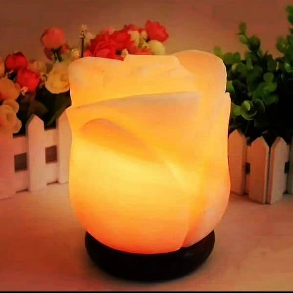 Natural Lamp, Table Lamp || Fancy Lamps || Decorations Lamps 9
