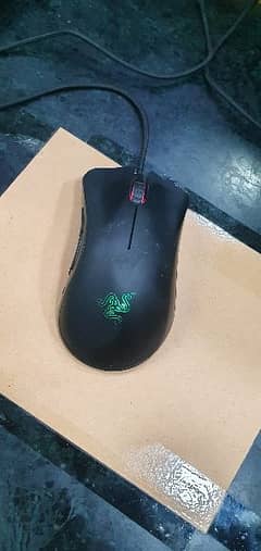 Dragon mouse for sale 100% ok