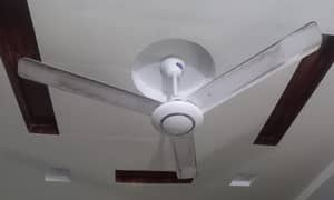 Ceiling Fan