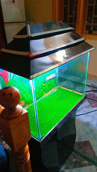 aquarium in very low price need money 1