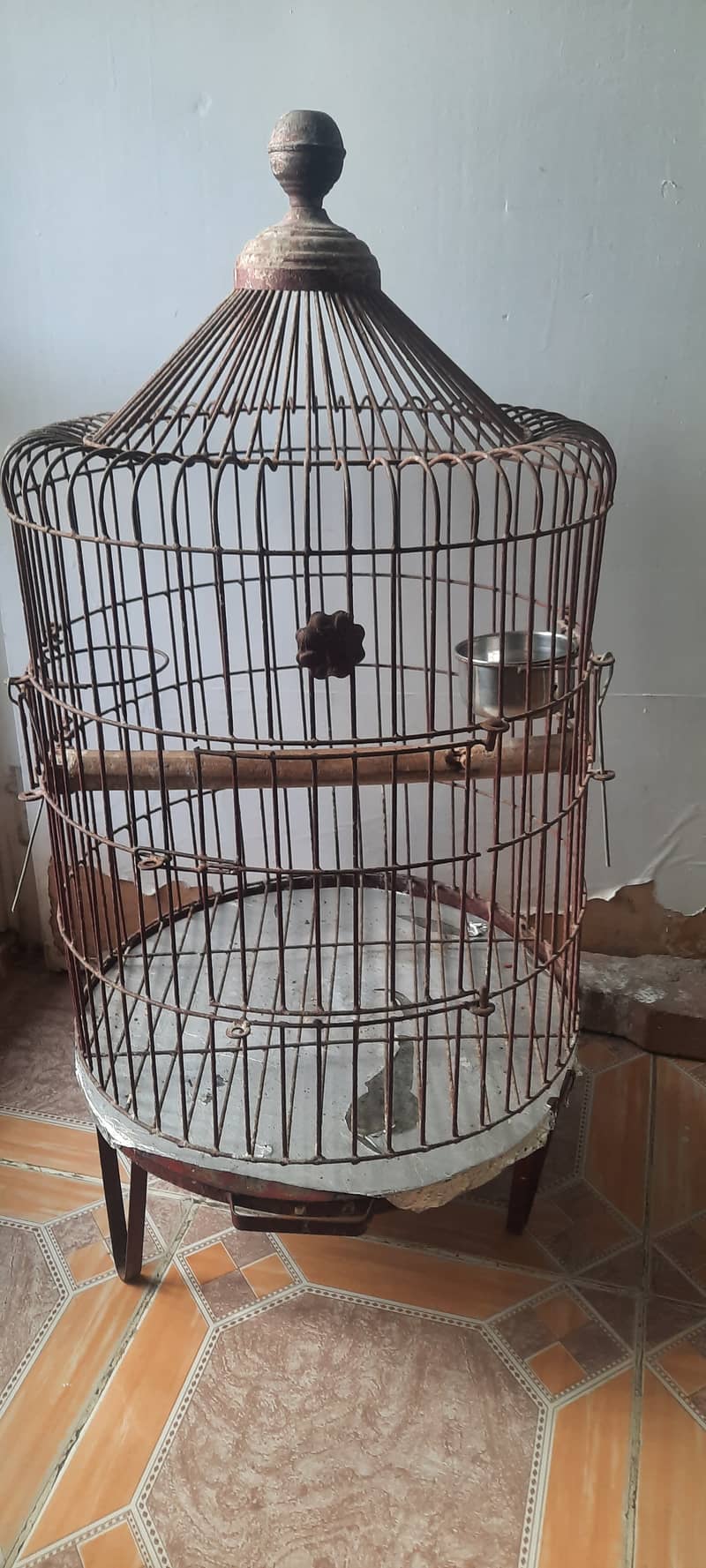 Cage grey parrot/pahari 0