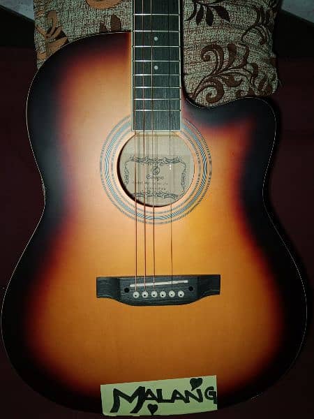 accoustic guitar just 4 months used 5