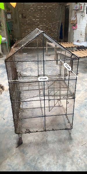 iron cage 2