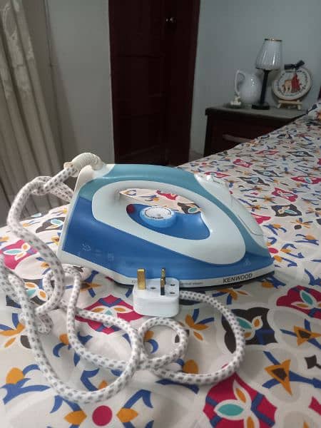 steam and dry iron 2 in 1 4