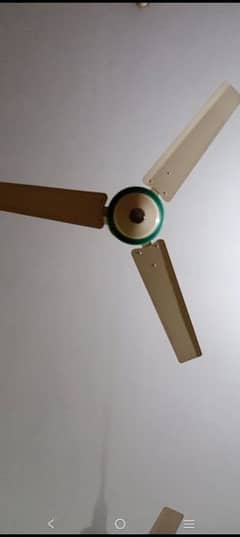 2 Taimor Fan