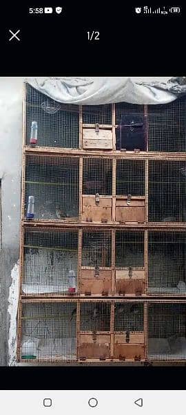 Wooden Cage for Sale : Condition 10/8 1