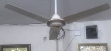 branded ceiling fan