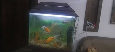 acquarium fish pump all assesories