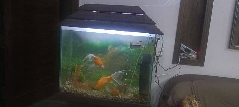 acquarium fish pump all assesories 0