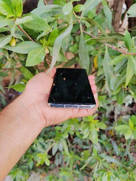 OnePlus 8t dual sim 8