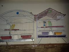 2 cages with parrots in 5,000Rs 0