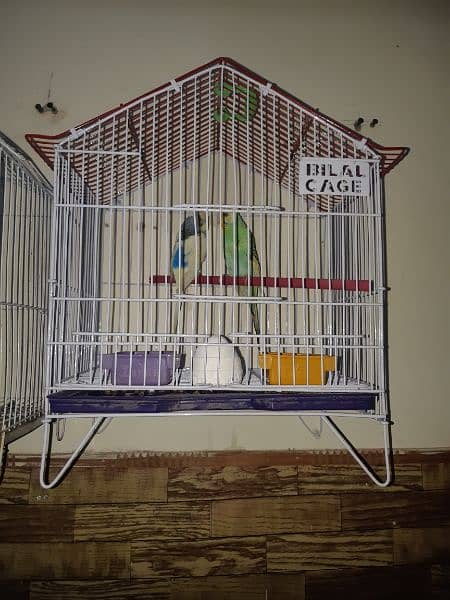 2 cages with parrots in 5,000Rs 1
