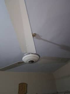 Royal. ceiling fan in wel condition like new. size 56"  no fault