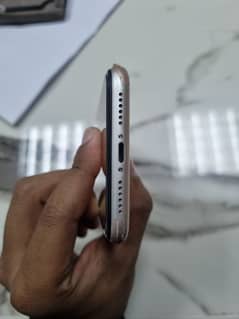 iphone 11 pta proved with box