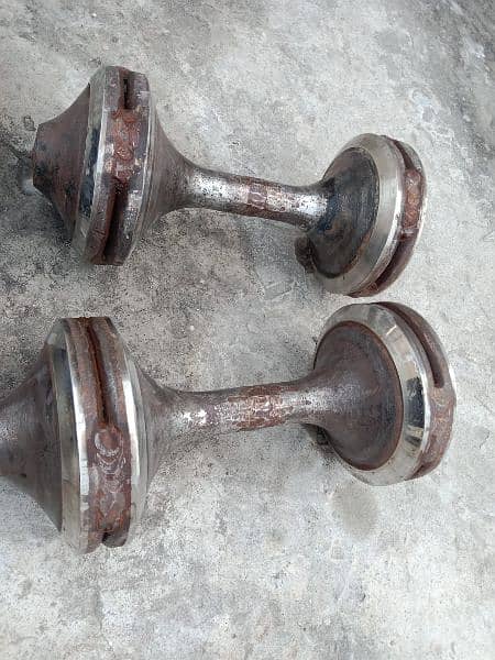 Dumbells and weight plates sale 1