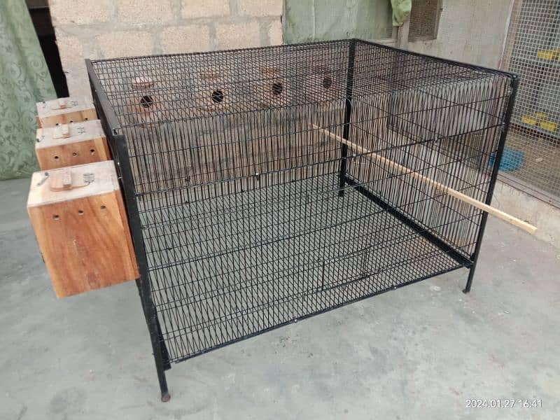 folding cage 10 no. wire lovebird RAW
 Ring neck Grey Parrot Hen cage 4