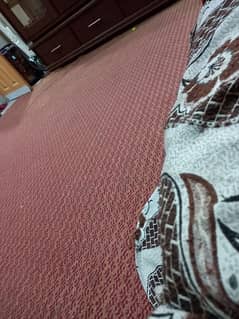 13 x 25 foot long carpet 2 years used for sale
0321/512/0/593