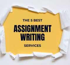 assignment writting in less price
