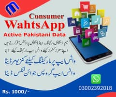 WahtsApp Active Pakistani User Data 0