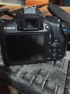 canon 1300D Camra  kit lens