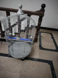 cage for sale for gray parrot or macaw