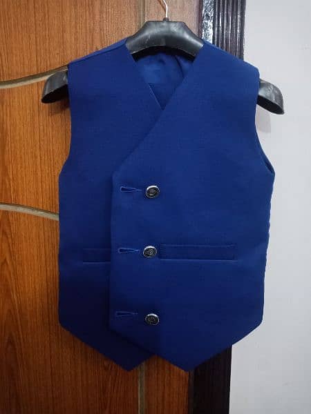 Three Piece Suit (coat) 3