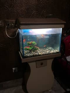Aquarium 2ft (No leakage)